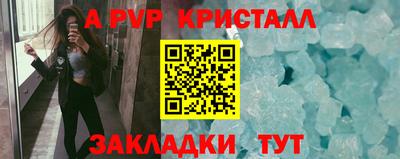индика Дубна