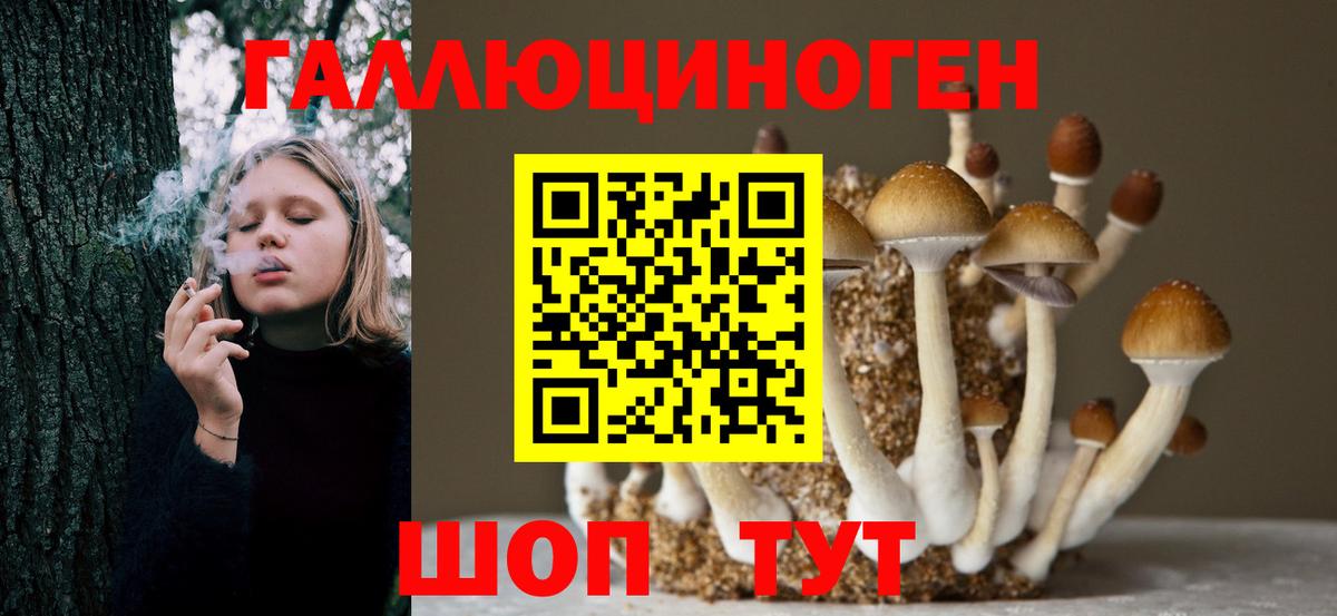 Псилоцибиновые грибы GOLDEN TEACHER  Вход с VPN  Михайловск 